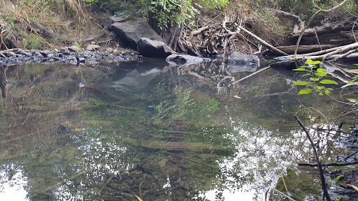 Park «Orchard Park», reviews and photos, 20900 NW Amberwood Dr, Hillsboro, OR 97124, USA