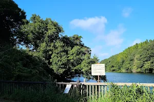 Daizen Pond image