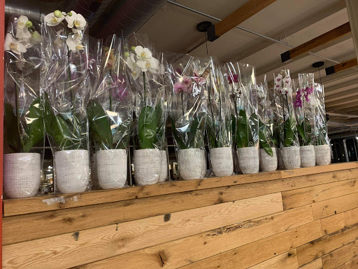 Grocery Store «Whole Foods Market», reviews and photos, 15 Wynnewood Rd, Wynnewood, PA 19096, USA