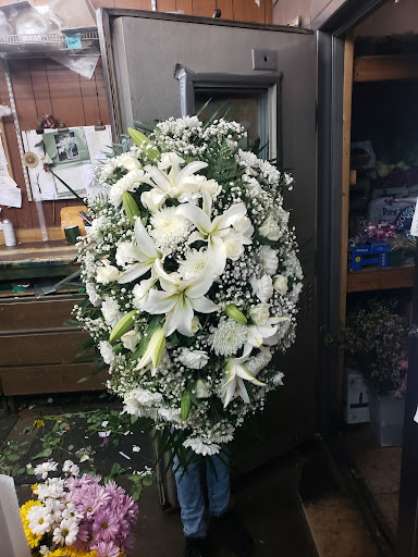 Florist «Dillon & Son Florists», reviews and photos, 180 Boston Ave, Stratford, CT 06614, USA