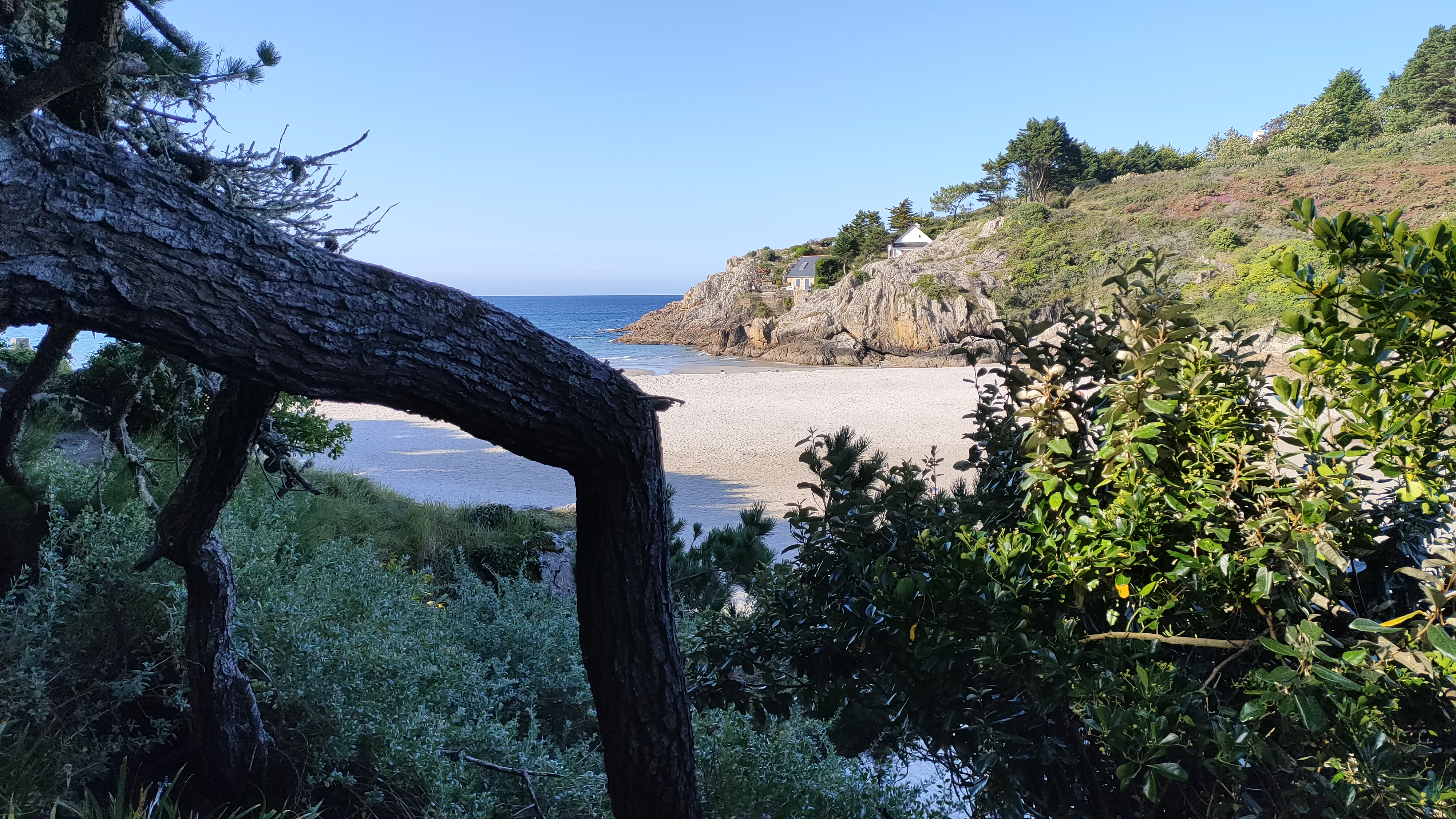 Photo n° 4 de l'avis de Didier.a fait le 01/09/2021 à 08:23