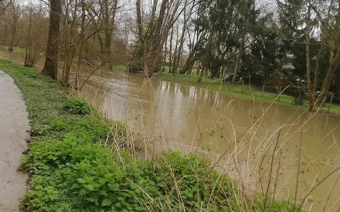 Bords de l'Yerres image