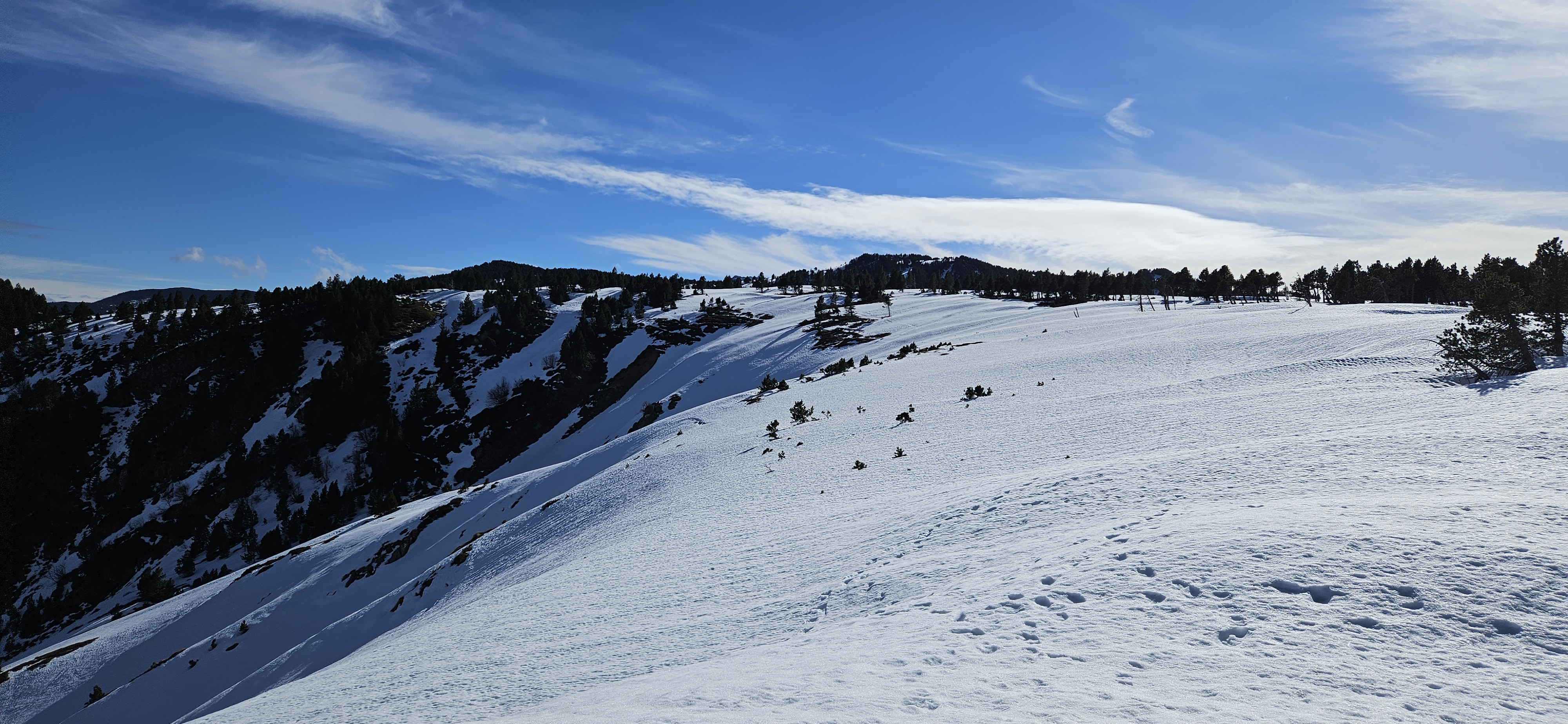 Photo n° 3 de l'avis de Théophane. fait le 09/02/2024 à 18:36