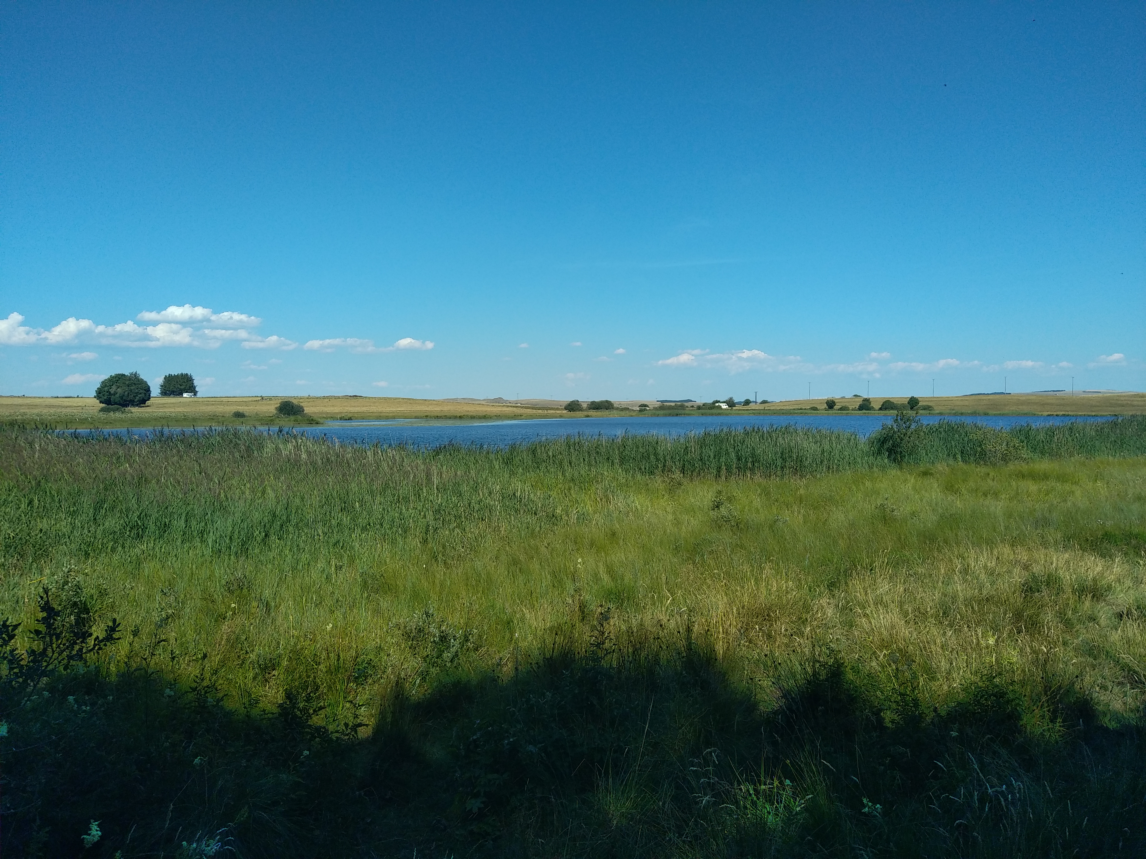 Photo n° 19 de l'avis de Julien.a fait le 14/07/2022 à 19:44