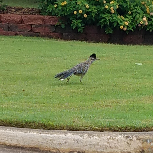 Park «Harmony Park», reviews and photos, 699 Indian Creek Dr, Trophy Club, TX 76262, USA