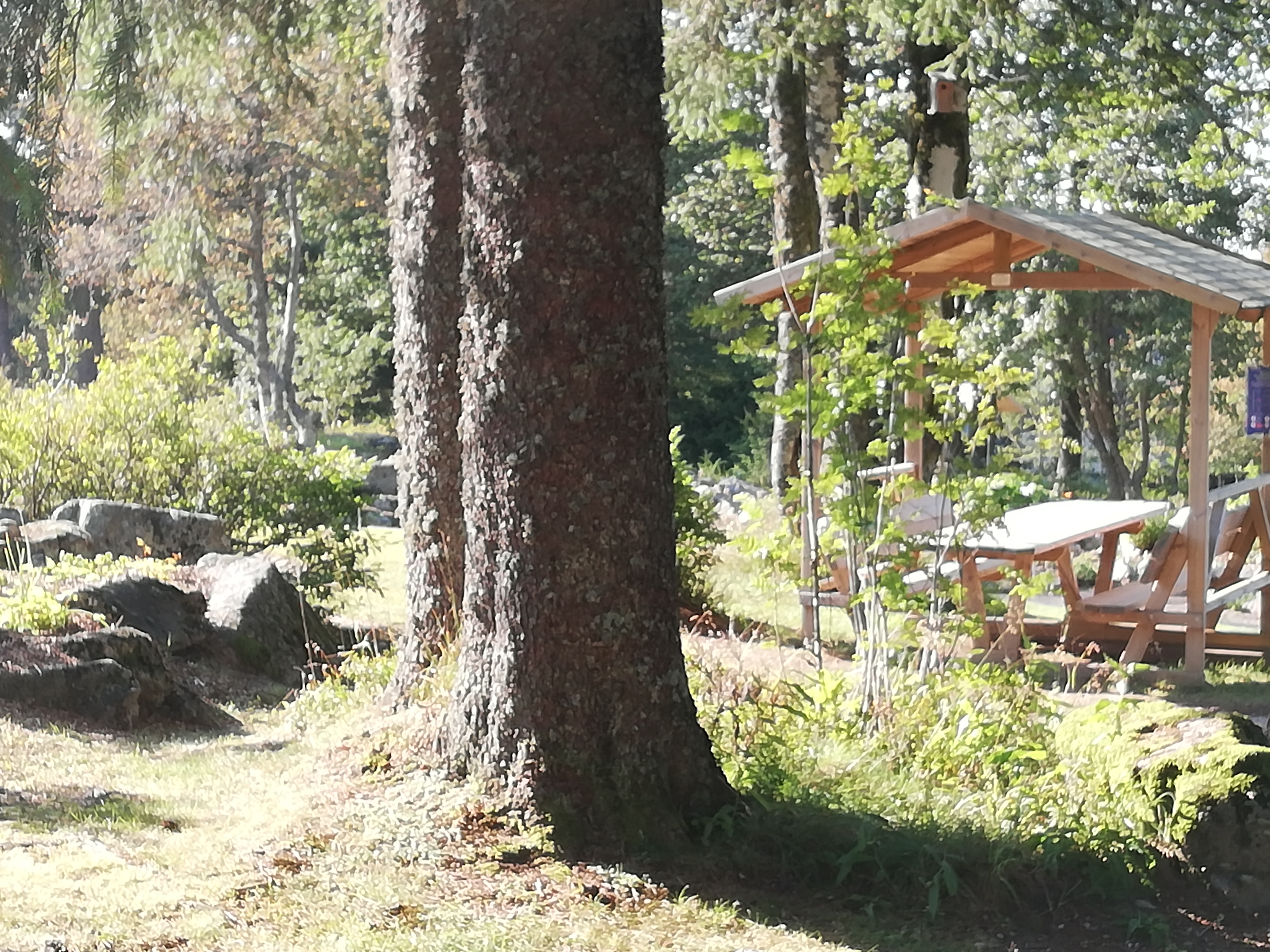 Photo n° 4 de l'avis de Murielle.a fait le 13/09/2020 à 17:23