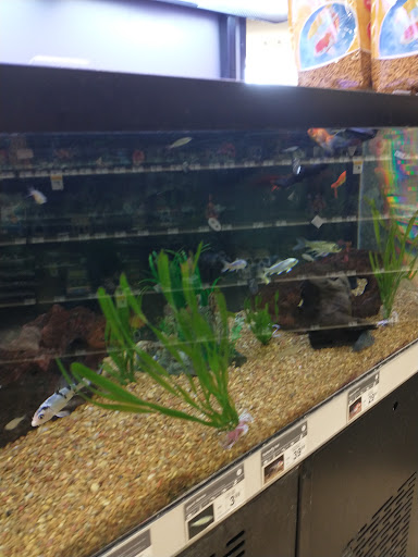 Pet Supply Store «Petco Animal Supplies», reviews and photos, 5177 Eldorado Pkwy, Frisco, TX 75033, USA