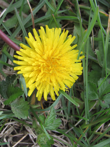 Park «Taylor Memorial Park», reviews and photos, 4201 Lee Ave, Louisville, KY 40213, USA