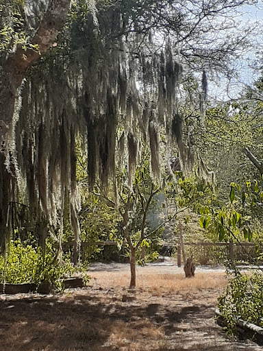 Sabal Palm Sanctuary image 7