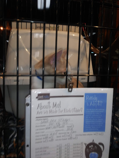 Pet Supply Store «Pet Valu», reviews and photos, 3437 Center Rd, Brunswick, OH 44212, USA