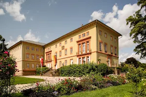 Schloss Herrnsheim image