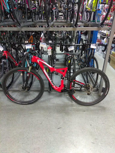 Bicycle Store «Big Wheel Bicycles USA, Inc», reviews and photos, 7035 Taft St, Hollywood, FL 33024, USA