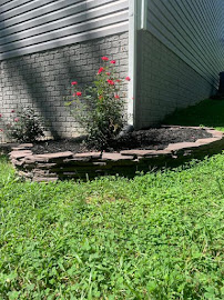 Custom Lawncare Solutions - Photo 8 - Car repair in , Fredericksburg