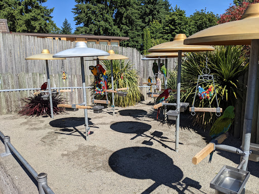 Zoo «Cougar Mountain Zoo», reviews and photos, 19525 SE 54th St, Issaquah, WA 98027, USA