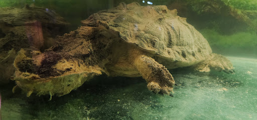 Pet Store «Aqualand Aquarium Center», reviews and photos, 5355 Chicago Ave, Minneapolis, MN 55417, USA