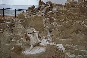 The Mammoth Site image