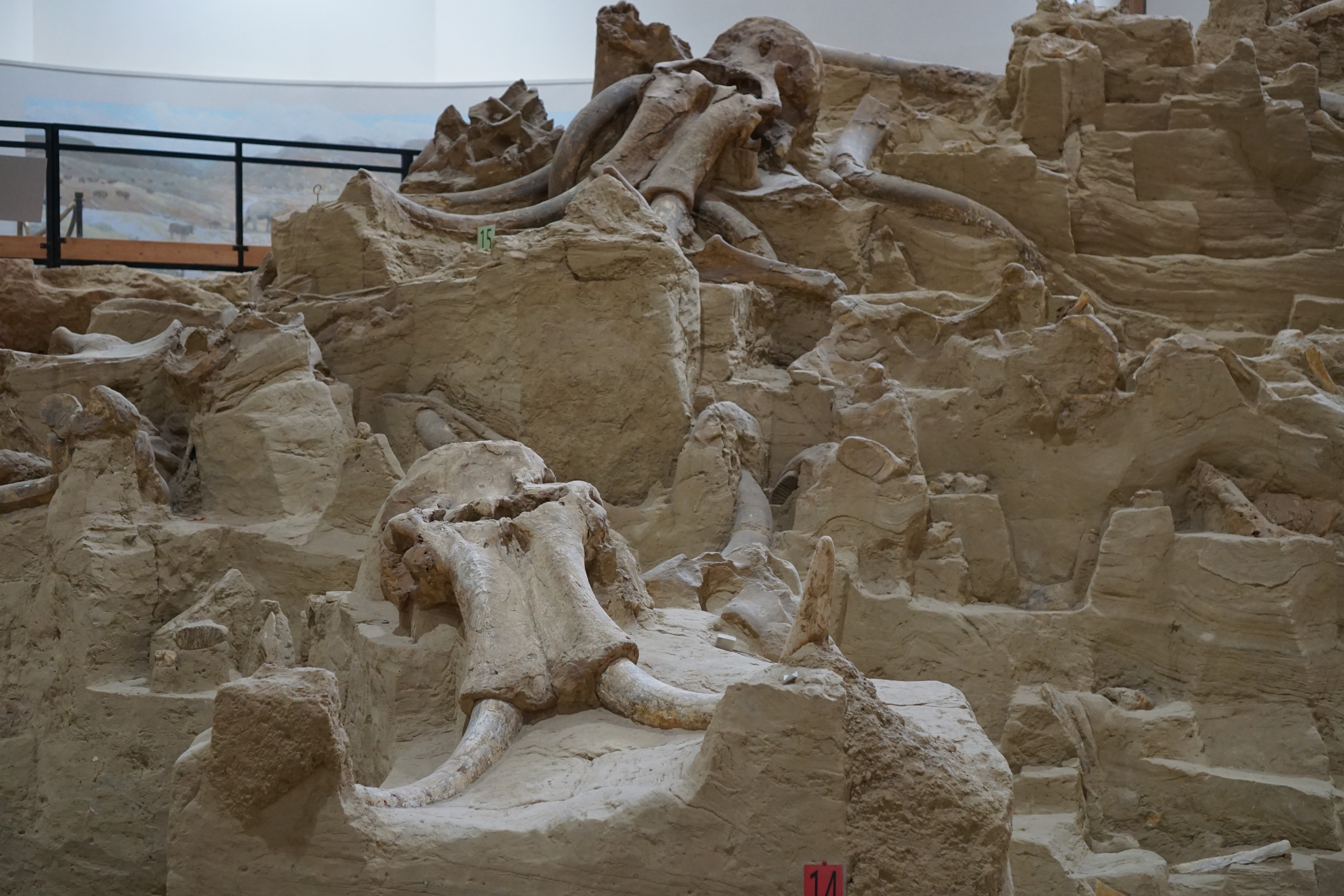 Picture of a place: The Mammoth Site