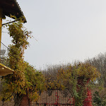 Photo n°5 de l'avis de Paolo.e fait le 12/11/2017 à 08:33 sur le  La Cà d’Olga à La Morra