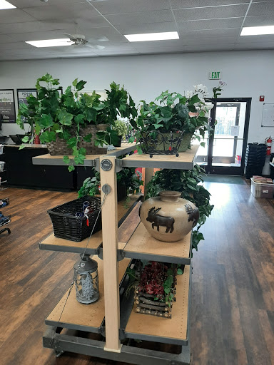 Non-Profit Organization «Lift Up Thrift Store», reviews and photos, 2125 Curve Ct, Steamboat Springs, CO 80487, USA