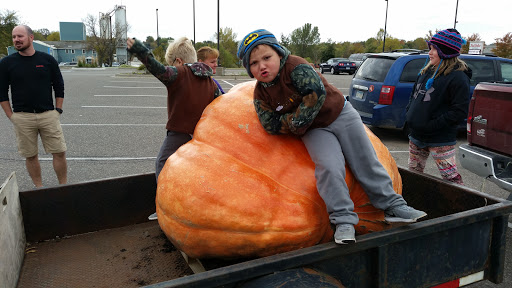 Garden «Minnehaha Falls (Hiawatha Statue)», reviews and photos, 4801 S Minnehaha Park Dr, Minneapolis, MN 55417, USA