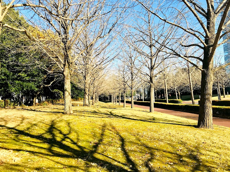 産業技術総合研究所 つくばセンター