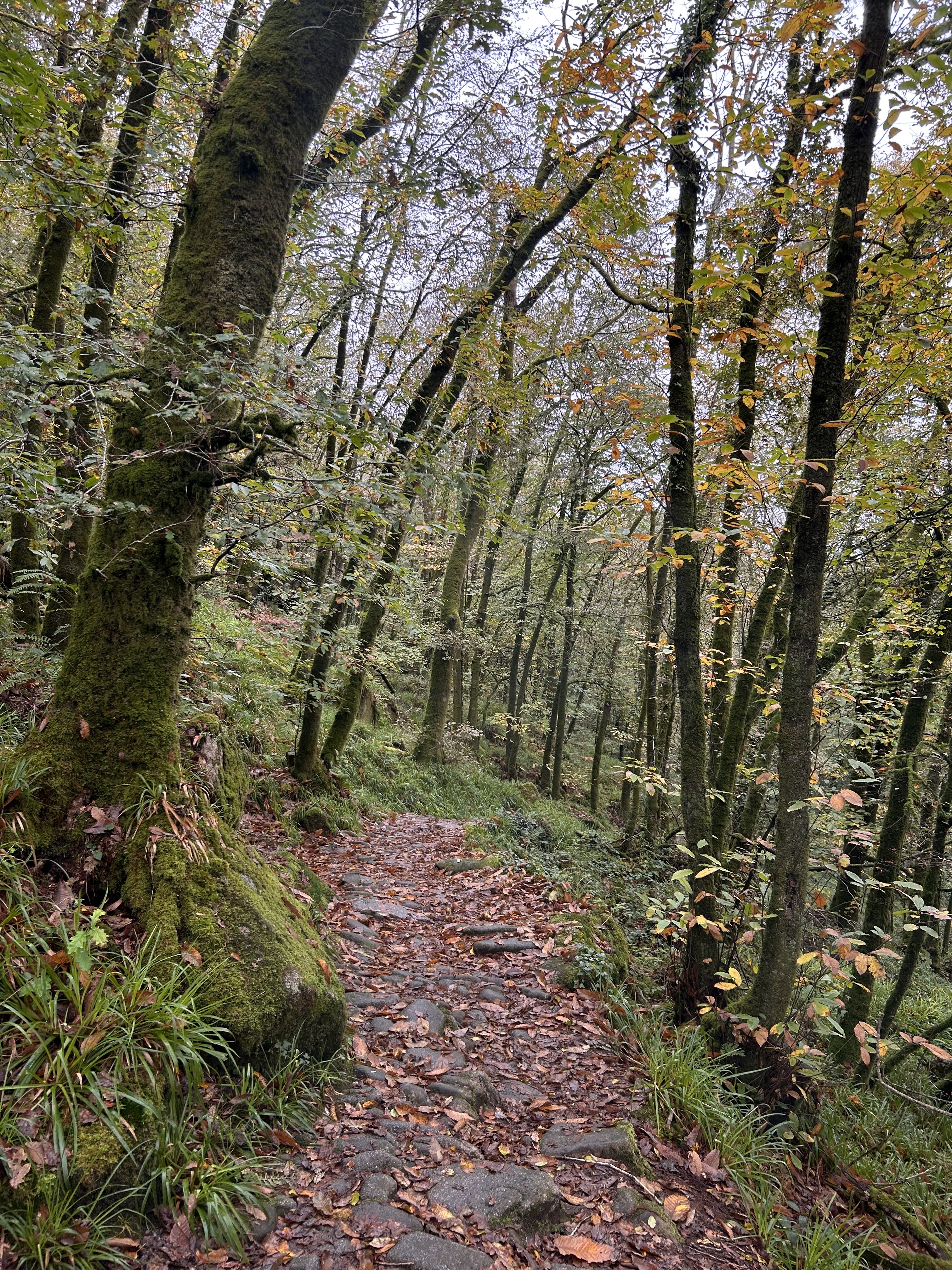 Photo n° 3 de l'avis de Enora.i fait le 05/11/2023 à 11:43