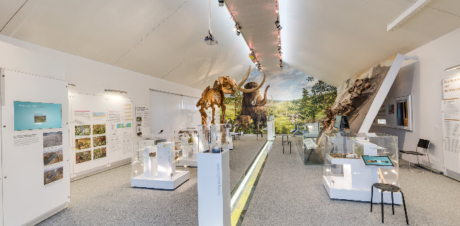Mammutmuseum Öffnungszeiten