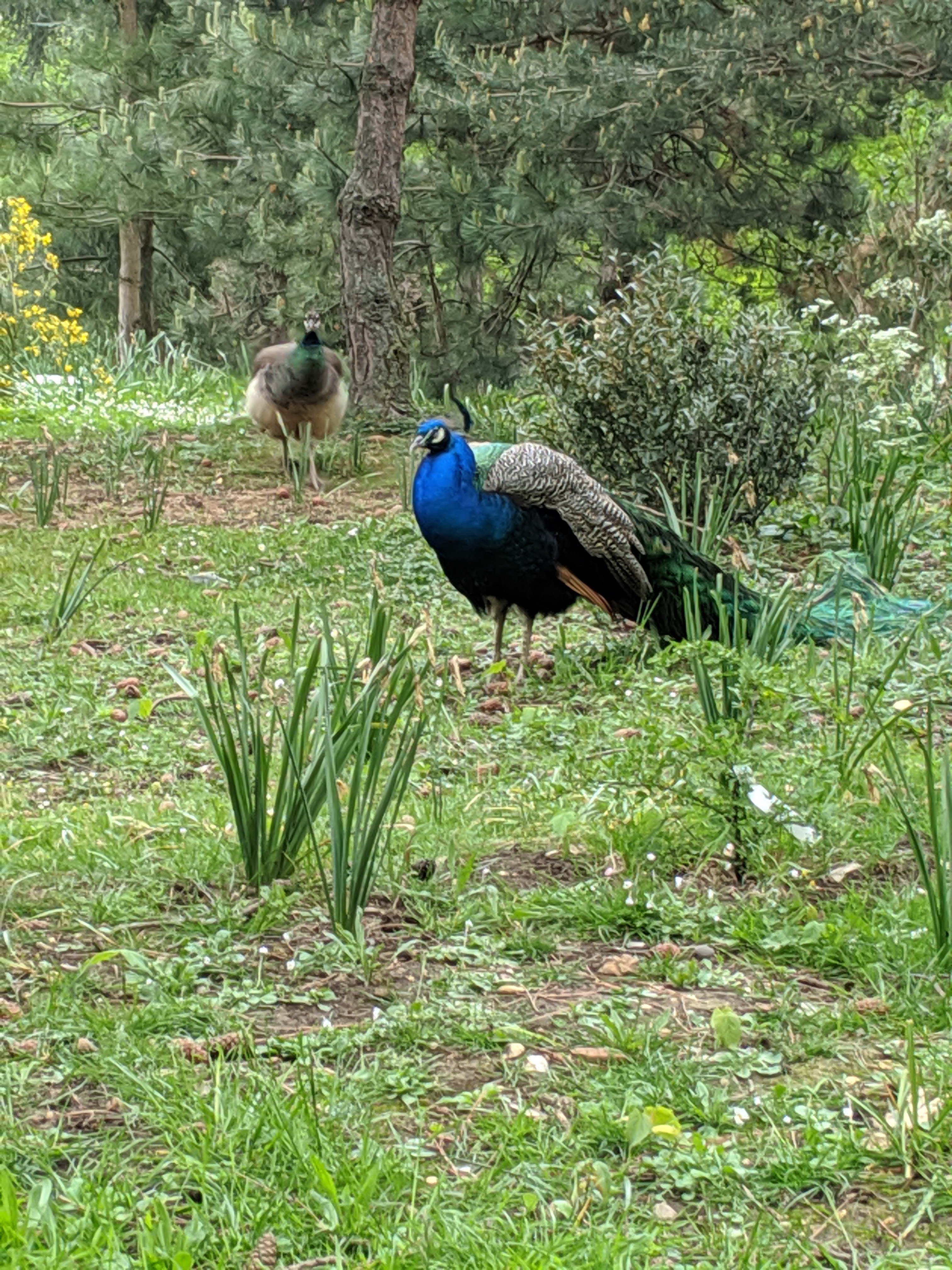 Photo n° 22 de l'avis de Bruno. fait le 09/05/2019 à 17:47