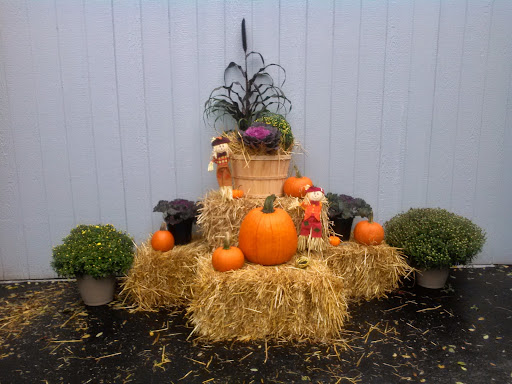 Supermarket «Stop & Shop», reviews and photos, 3126 Jericho Turnpike, East Northport, NY 11731, USA