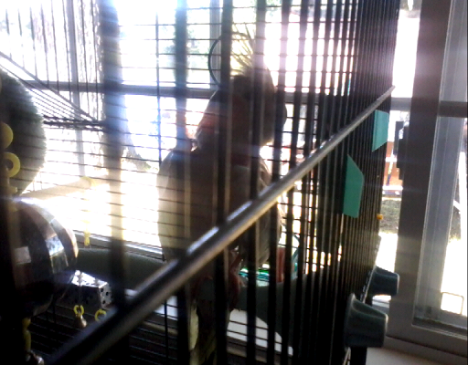 Garden Center «A W Brown Pet & Garden», reviews and photos, 144 Shaker Rd, East Longmeadow, MA 01028, USA