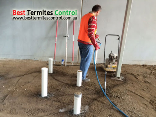 Best Termites Control