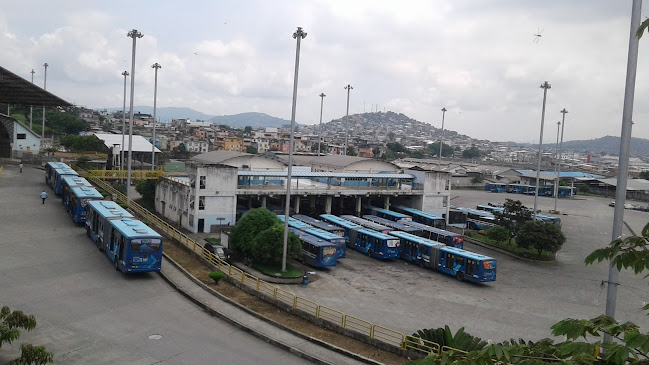 Opiniones de Estacion Metrovia III "Bastión Popular" en Guayaquil - Servicio de transporte