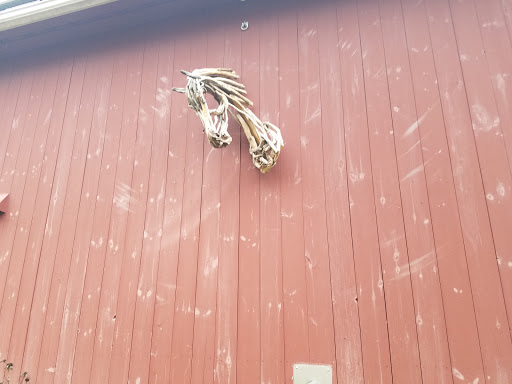 Vineyard «Lost Acres Vineyard», reviews and photos, 80 Lost Acres Rd, North Granby, CT 06060, USA