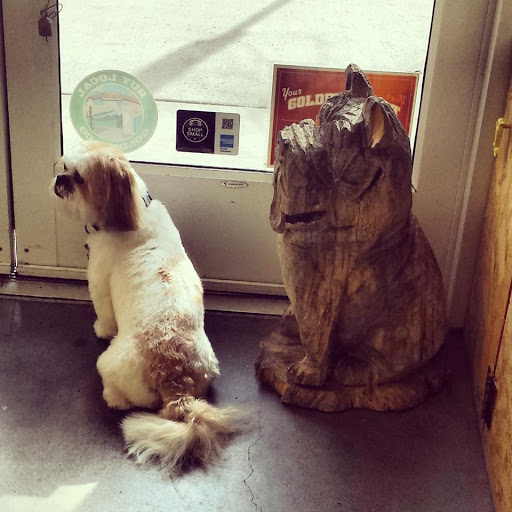 Pet Store «The Green Paw and Spaw», reviews and photos, 908 12th St, Golden, CO 80401, USA