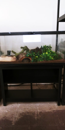 Pet Store «PV Pets», reviews and photos, 233 S Broadway, Pennsville, NJ 08070, USA