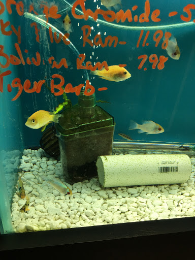 Pet Store «AquaVarium Pets And Supplies», reviews and photos, 95 W Bridge St, Catskill, NY 12414, USA