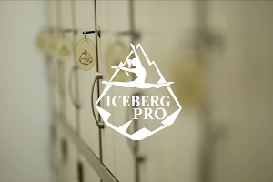 Центр фитнеса и танцев Iceberg PRO image