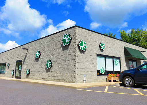 318 Northern Blvd, South Abington Township, PA 18411, USA