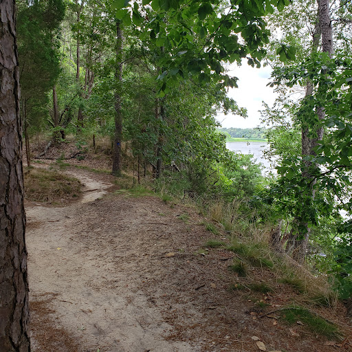 Nature Preserve «Maurice River Bluffs Preserve», reviews and photos, Silver Run Rd, Millville, NJ 08332, USA