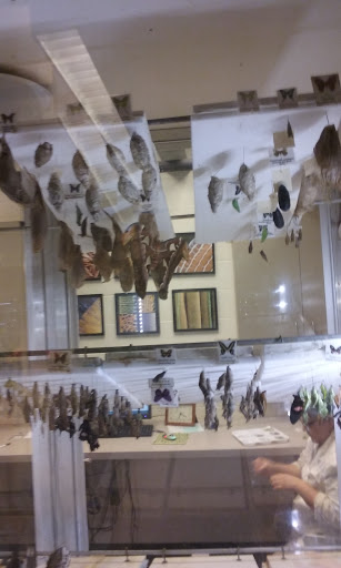 Zoo «Durhams Bear Canyon», reviews and photos, 3701 S 10th St, Omaha, NE 68107, USA