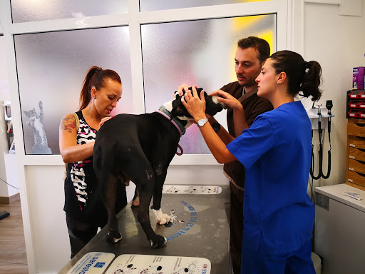 Commeu Clínica Veterinaria en L'Alcúdia