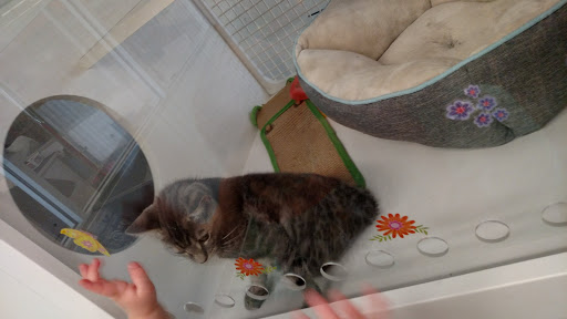 Pet Supply Store «Petco Animal Supplies», reviews and photos, 6512 Steubenville Pike, Pittsburgh, PA 15205, USA