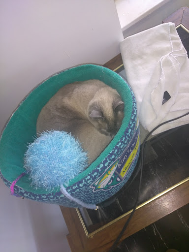 Pet Store «Debbies Pet Boutique», reviews and photos, 431 Center St, Healdsburg, CA 95448, USA