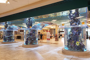 Scheels' Aquarium