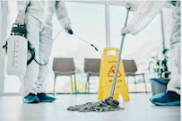 Elite Luxury Cleaning - Photo 6 - Car repair in , Detroit