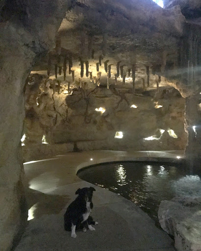 Tourist Attraction «The Grotto», reviews and photos, Riverwalk N, San Antonio, TX 78212, USA