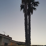 Photo n°5 de l'avis de Johnny.o fait le 17/08/2017 à 19:25 sur le  Pepe Nero à Villasimius