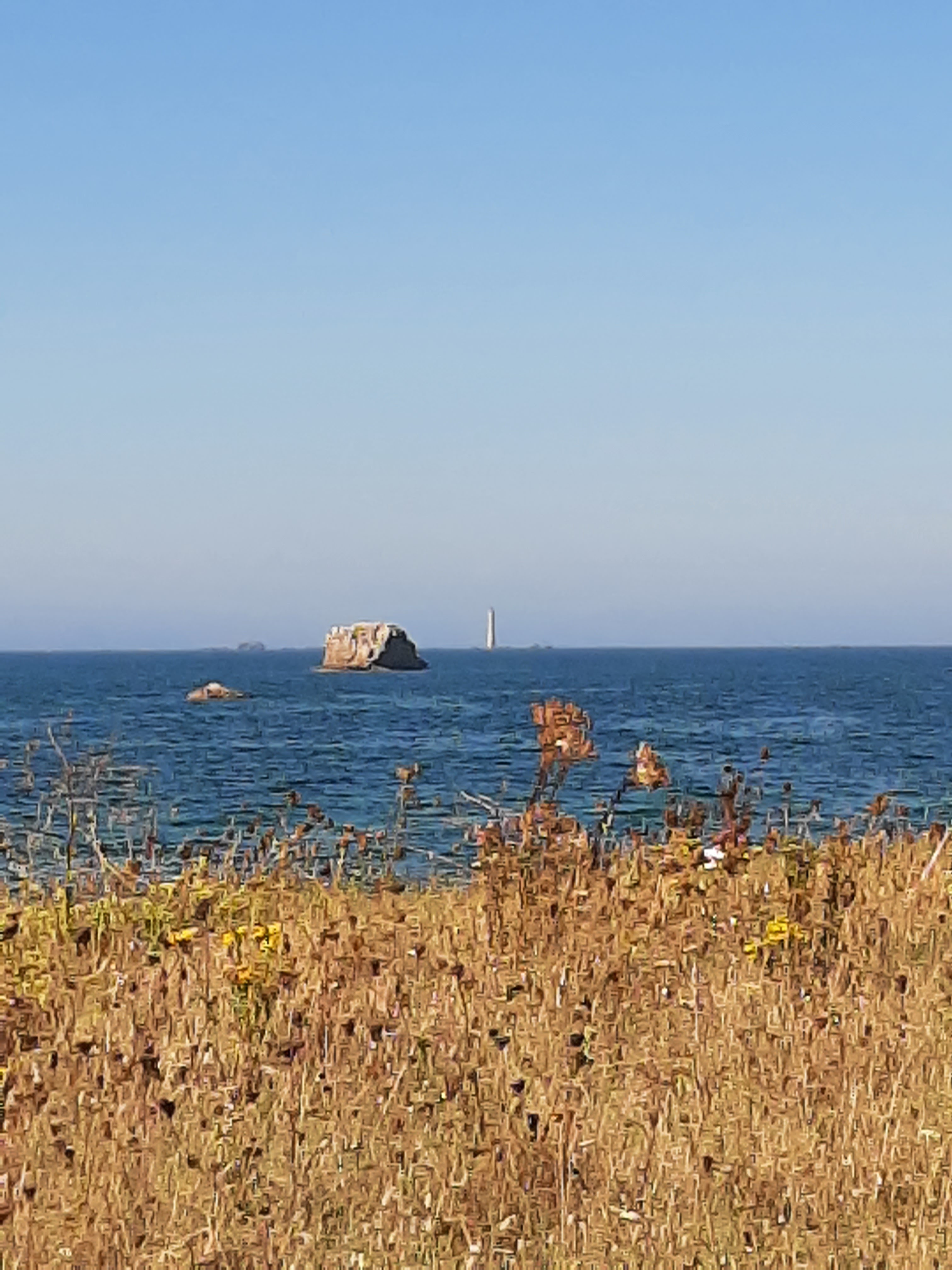 Photo n° 5 de l'avis de JM. fait le 10/08/2022 à 17:31