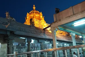 APM Thirumana Mahal image