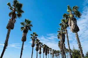 Oxnard State Beach Park image